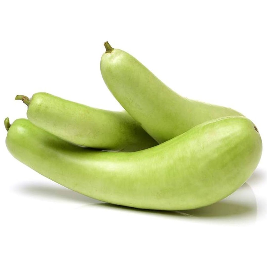 bottle-gourd