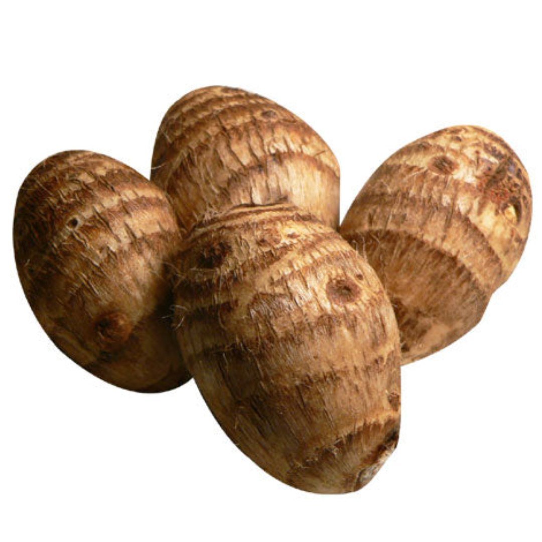 colacasia-sham-root