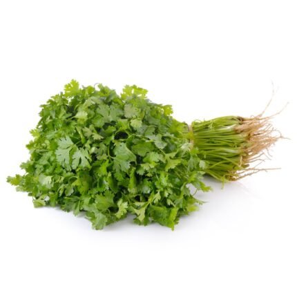 Coriander Leaves