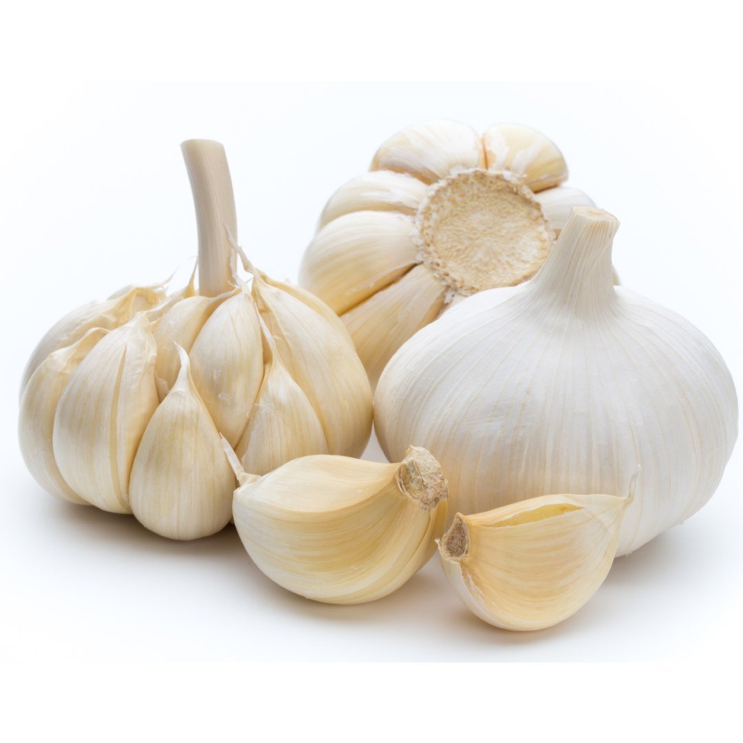 garlic-local