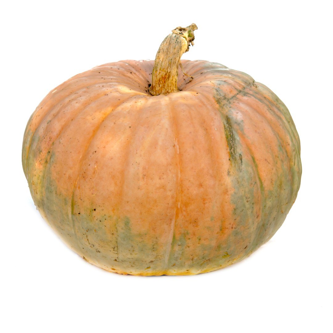 pumpkin