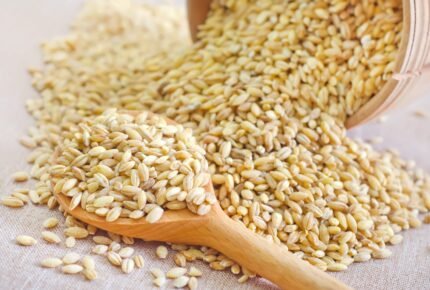 Wheat