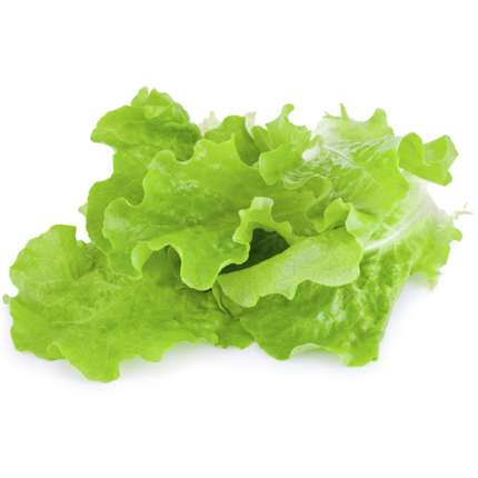 Lettuce Leaves